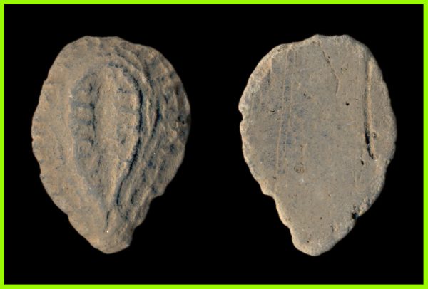 CHINA 1122-255 BC imitation cowrie