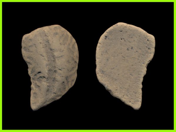 CHINA ZHOU Dynasty 1122-255 BC clay cowrie