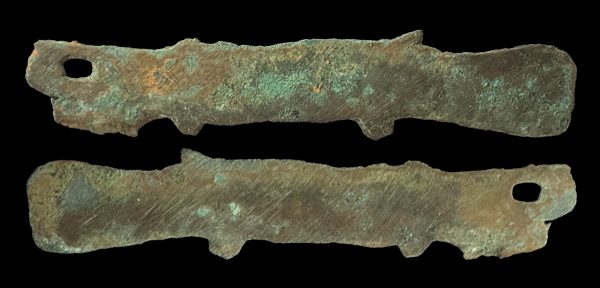 CHINA ZHOU Dynasty 1122-255 BC bronze fish