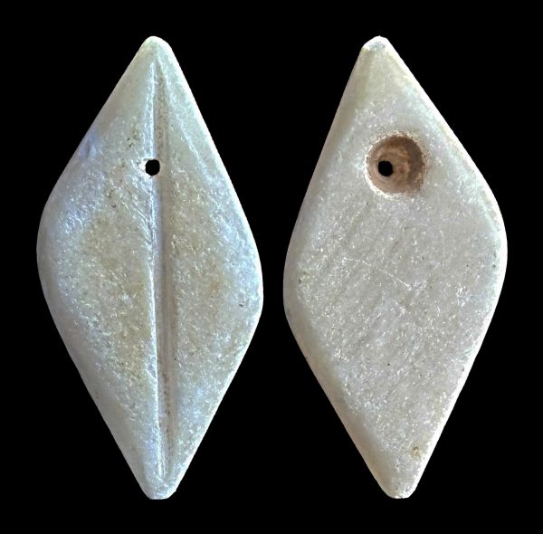 CHINA imitation cowrie