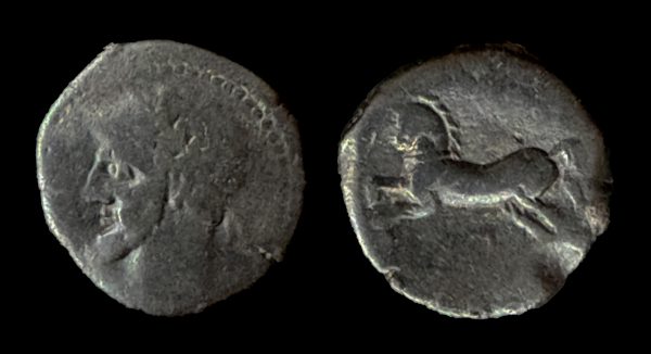 NUMIDIA Micipsa 148-118 BC bronze