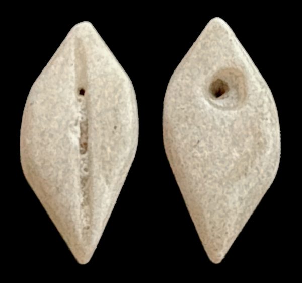 ANCIENT CHINA 1122-255 BC imitation cowrie